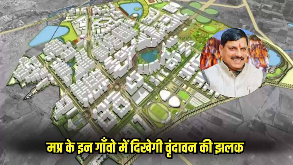 Mp news