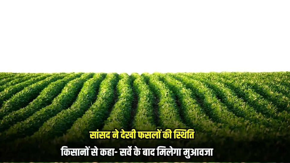 Burhanpur News