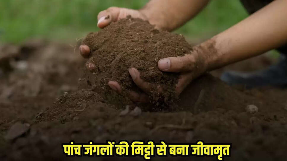 Chhatarpur News