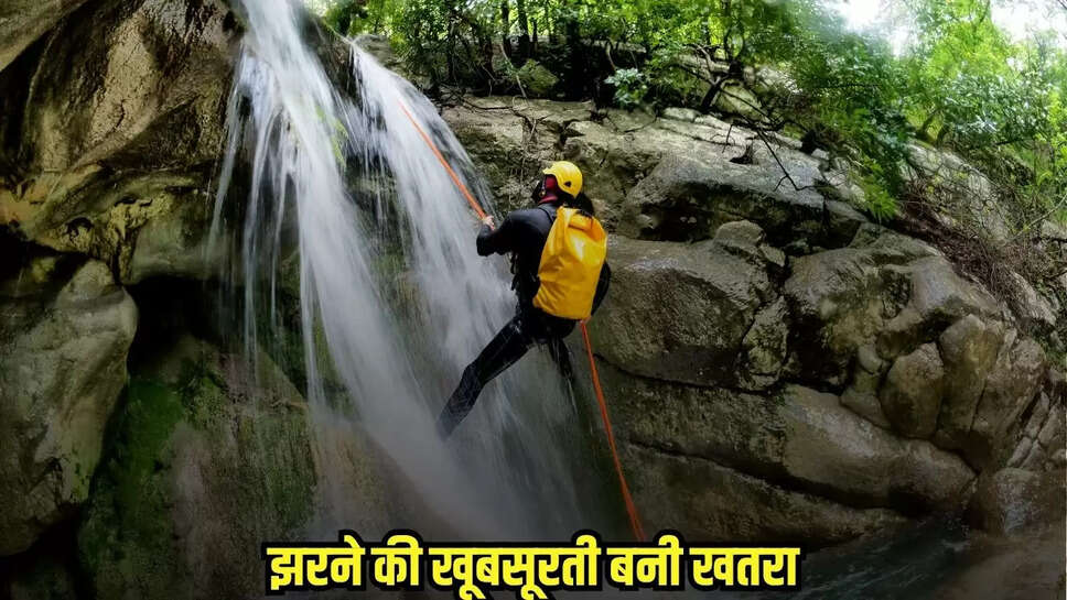 Tikamgarh News
