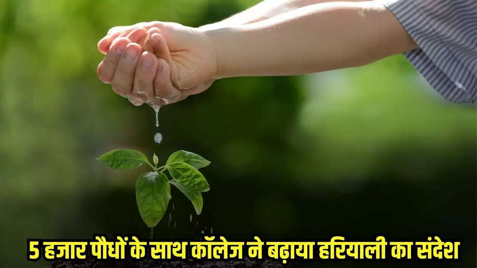 Chhatarpur News