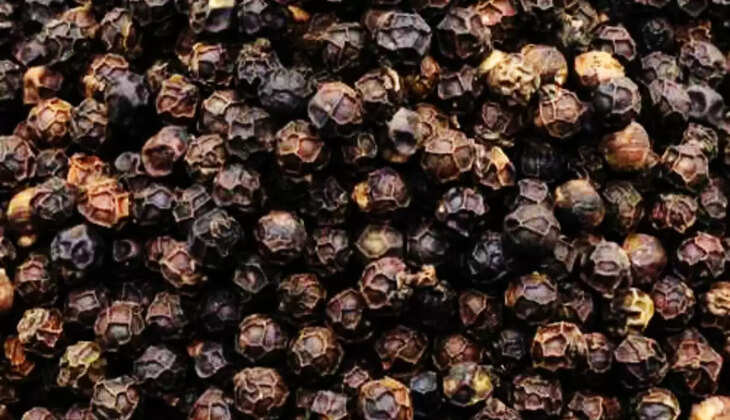 कालीमिर्च,