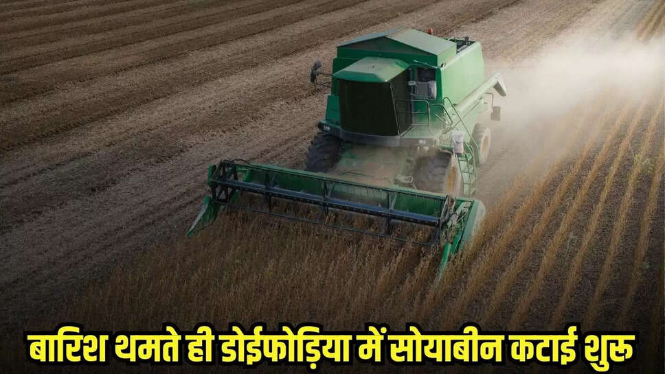 Burhanpur news, MP news,