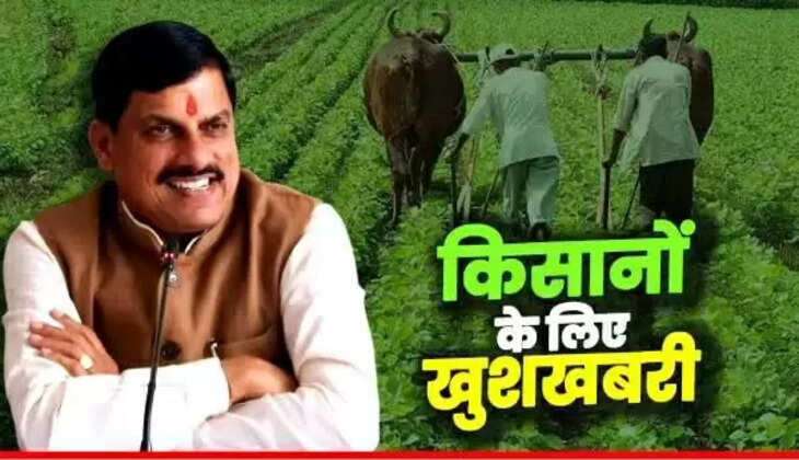 Mp news