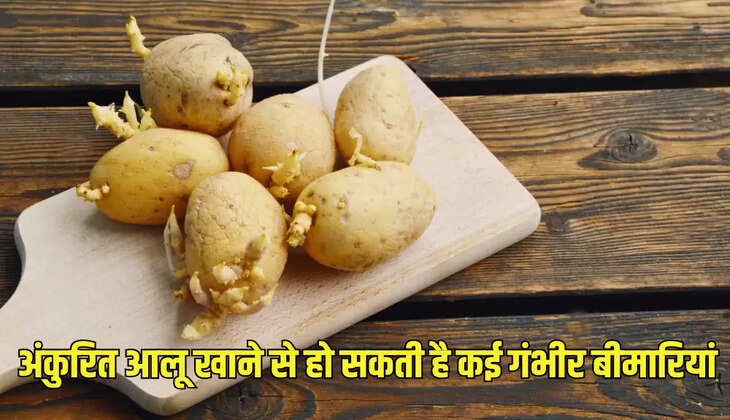 अंकुरित आलू खाने से हो सकती है कई गंभीर बीमारियां