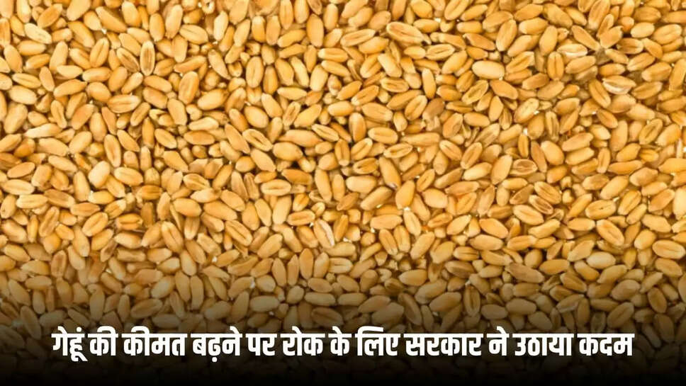 गेहूं की कीमत