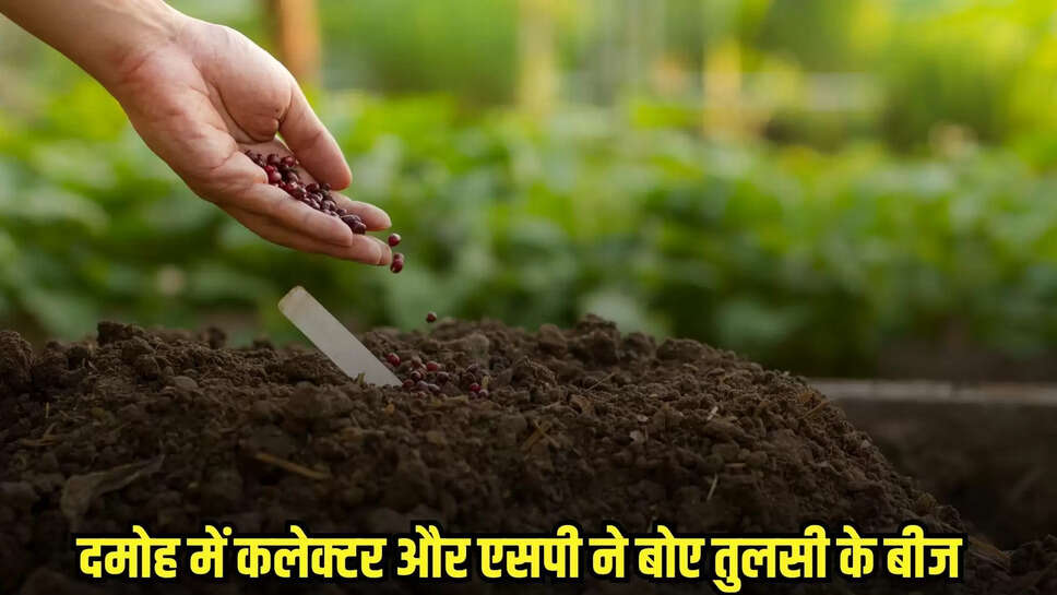 Damoh News