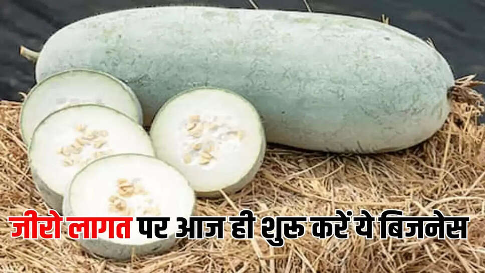 जीरो लागत पर आज ही शुरू करें ये बिजनेस