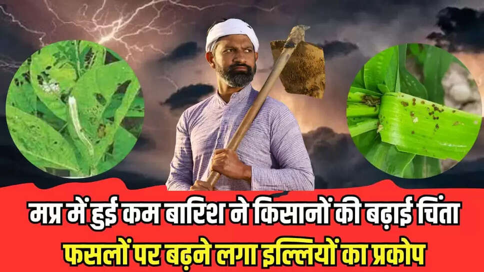 मप्र में हुई कम बारिश