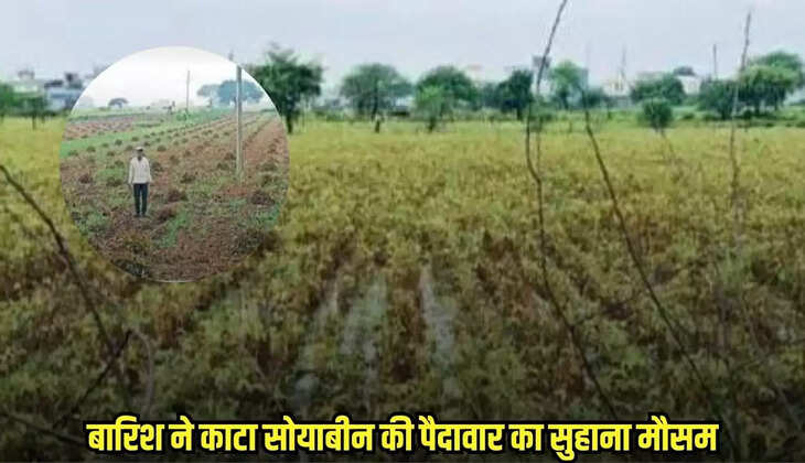 Dhaar news, MP news,