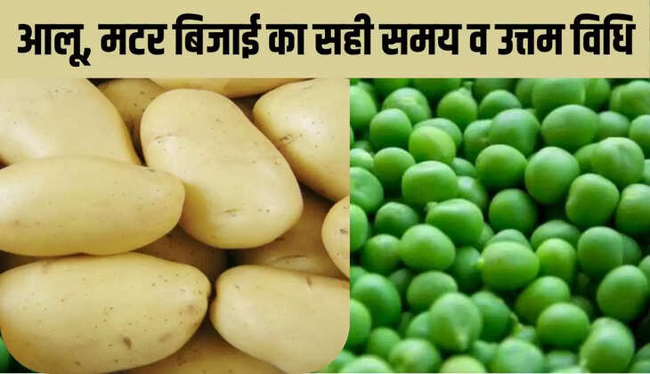 आलू, मटर 