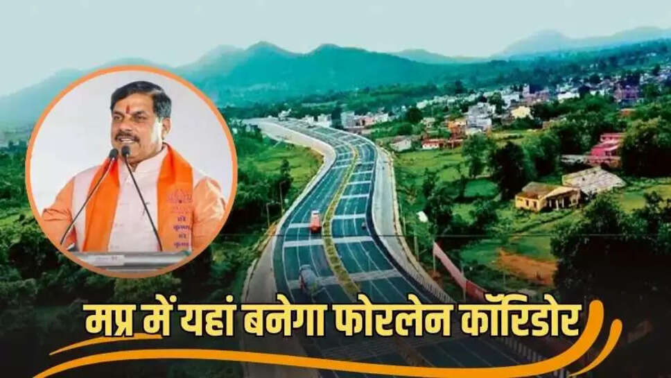 Mp news
