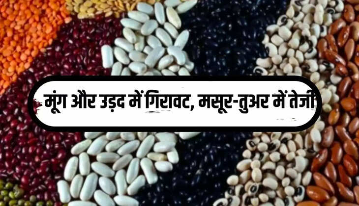 MP Grain Market Rates