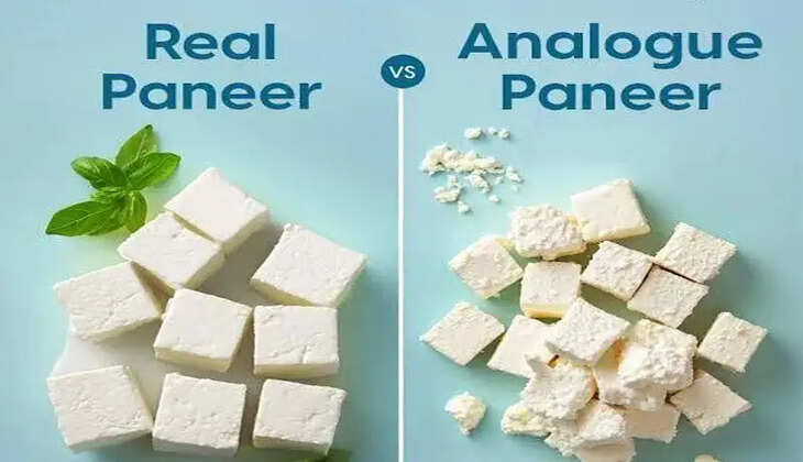 analogue paneer