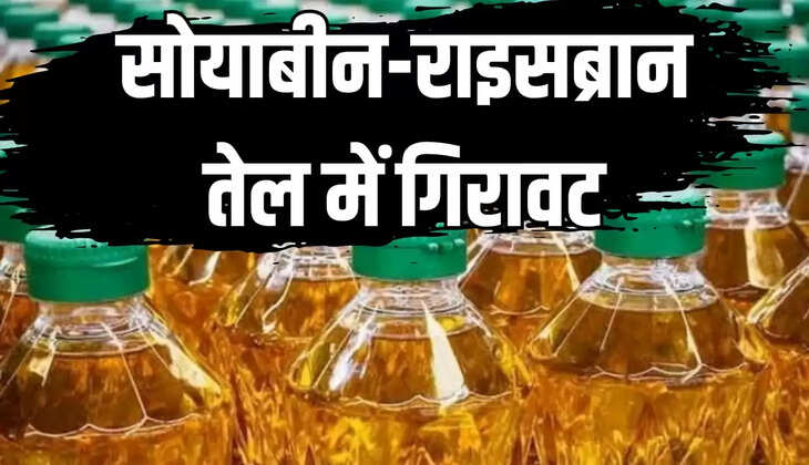 soybean-rice bran oil prices