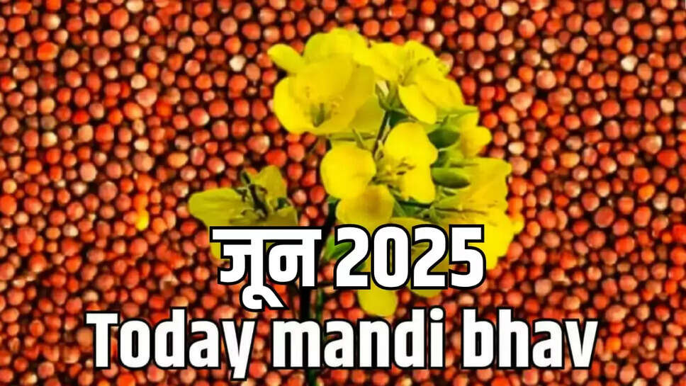 Today mandi bhav
