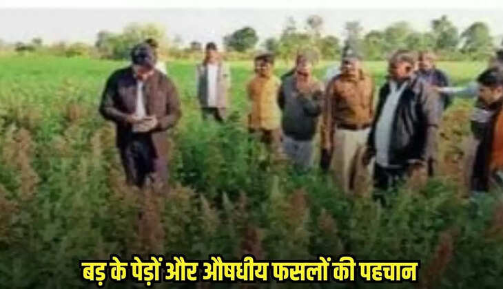 Neemuch news, MP news,