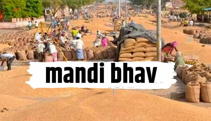 आलू ,प्याज, लहसुन 