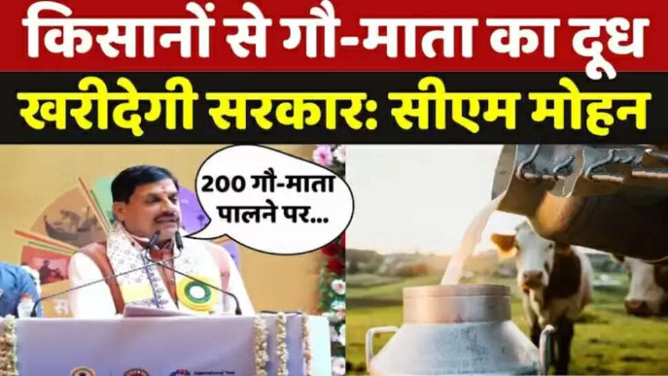 Mp news