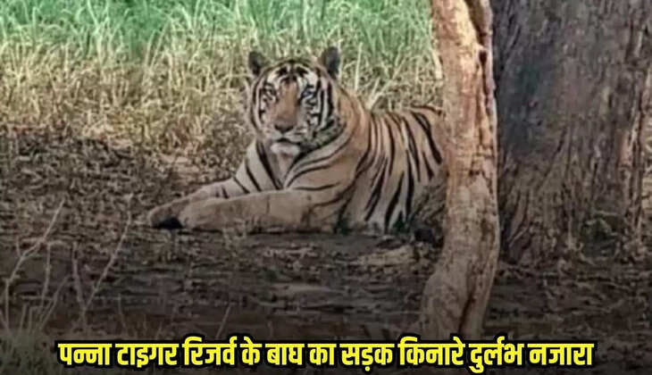 Chhatarpur news, MP news,