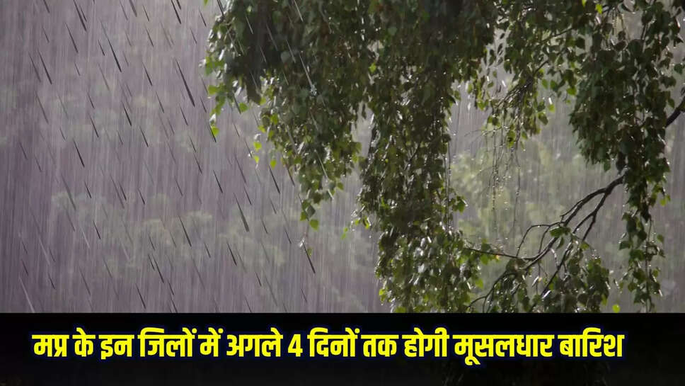 MP weather news in Hindi