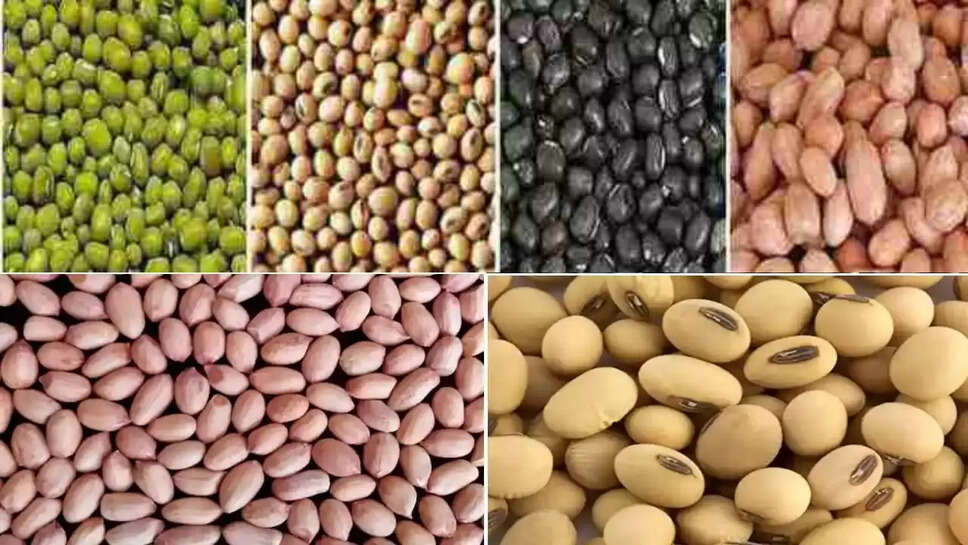 Potato, onion, garlic, wheat, barley, gram, mustard, cluster bean, millet, urad, moong, soybean, cumin