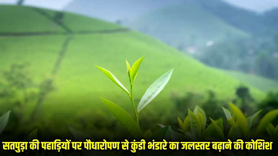 MP News