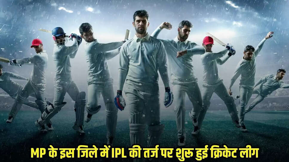 MP News