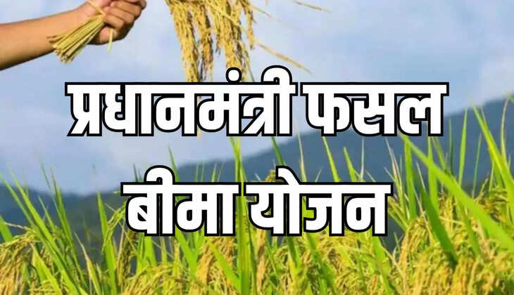 प्रधानमंत्री फसल बीमा योजना