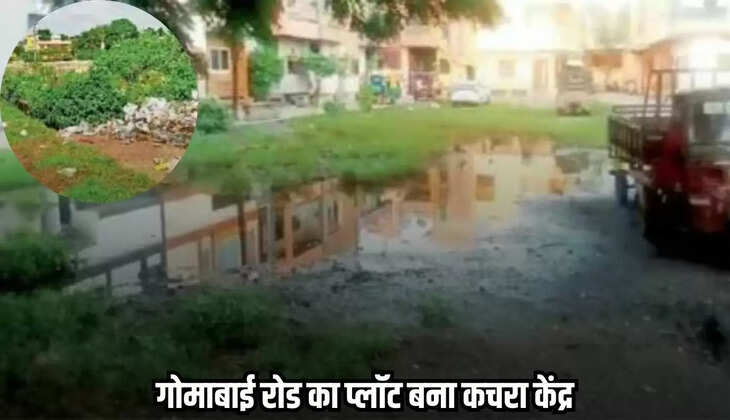 Mandsaur news, MP news,