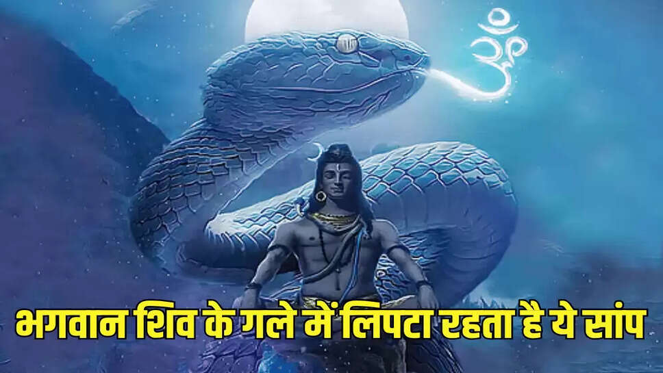 भगवान शिव के गले में लिपटा रहता है ये सांप