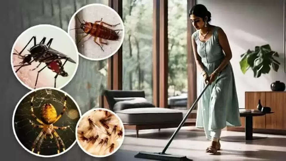 Home remedies 