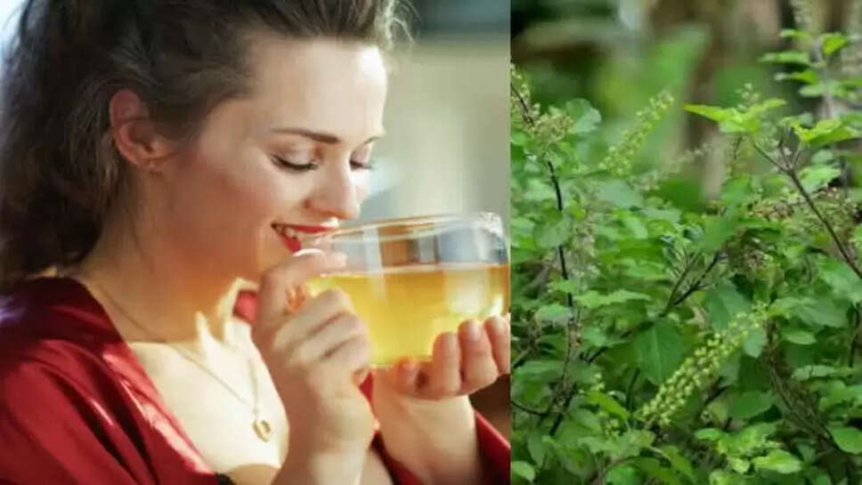 Tulsi water