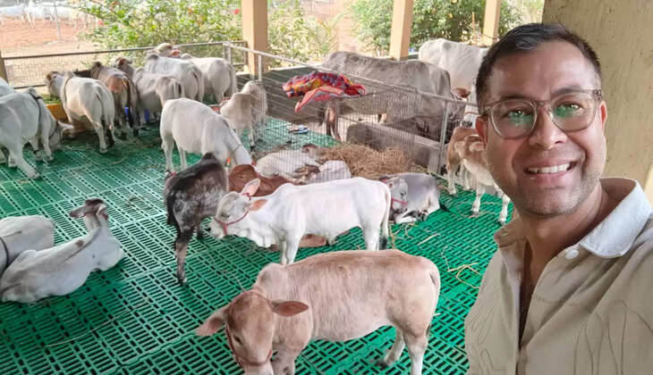 ,इंदौर में देशी गिर गाय एवं पूंगनूर नस्ल की अनोखी गौ शाला