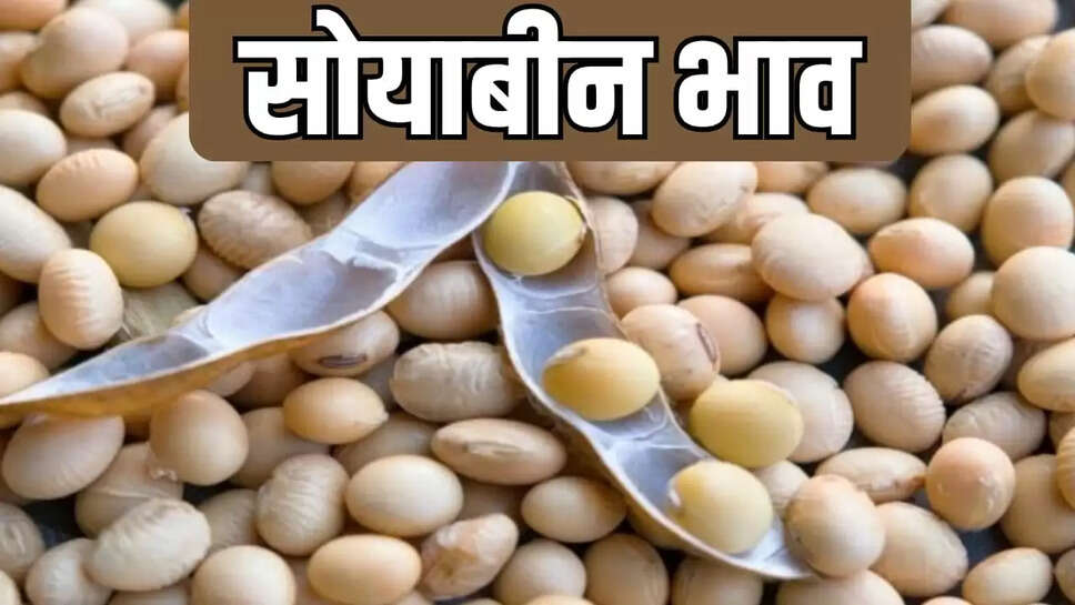  new soybean 