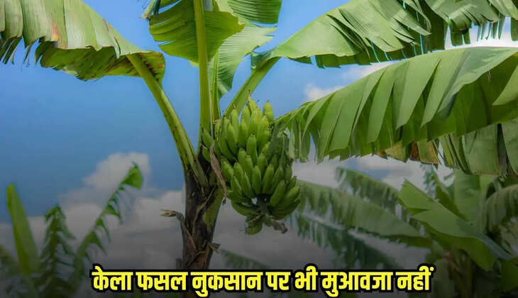 Burhanpur News