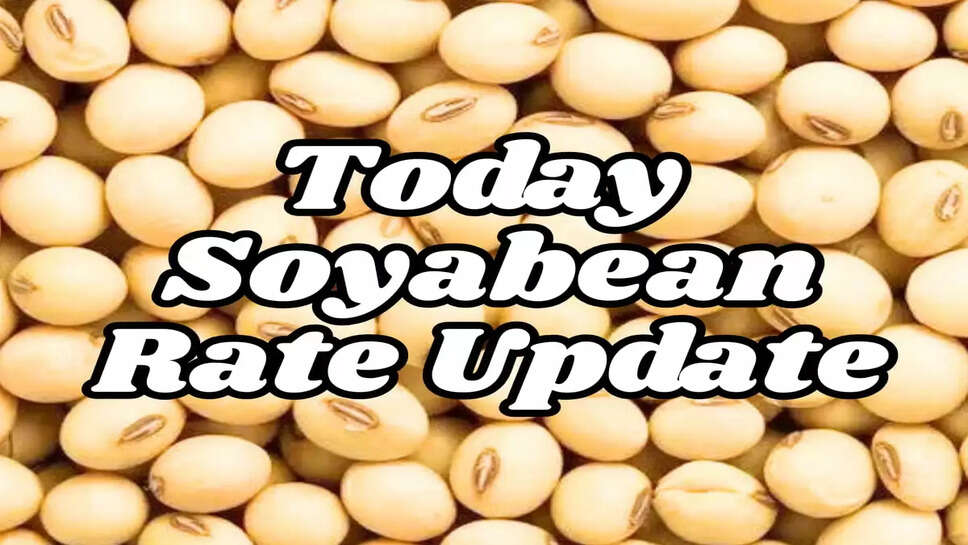 MANDI BHAV TODAY SOYBEAN RATE