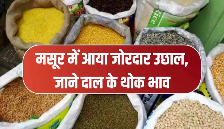 मसूर में आया जोरदार उछाल