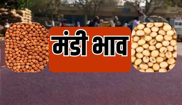 चना, सरसों, गेहूं,उड़द, आलू ,प्याज ,लहसुन