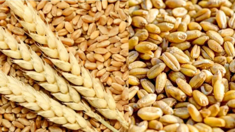 wheat price