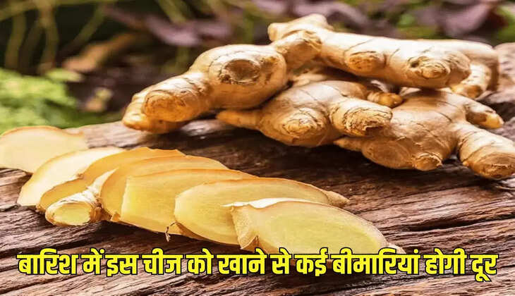 बारिश में इस चीज को खाने से कई बीमारियां होगी दूर