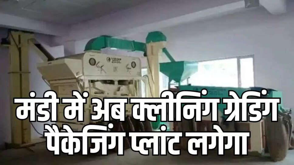 cleaning grading packaging plants 