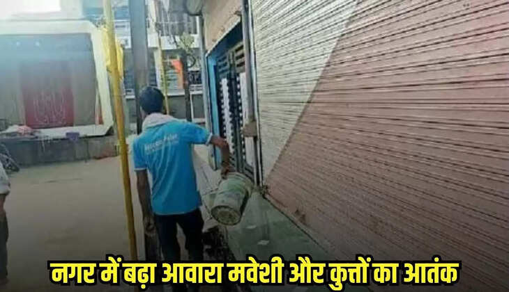 Harda news, MP news,