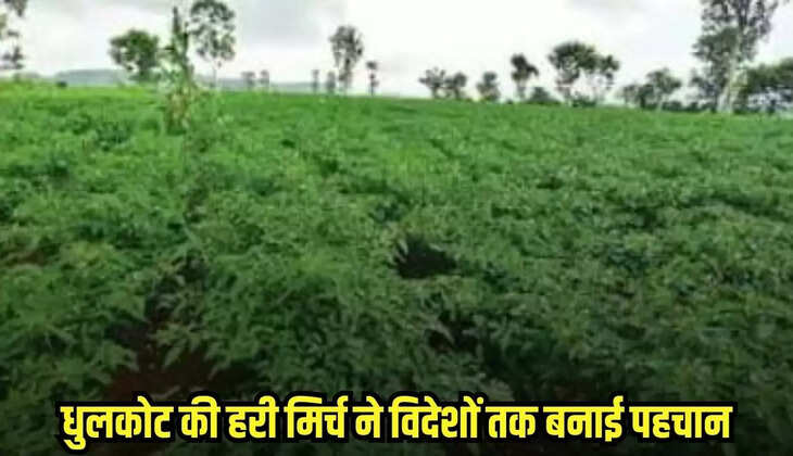 Burhanpur news, MP news,