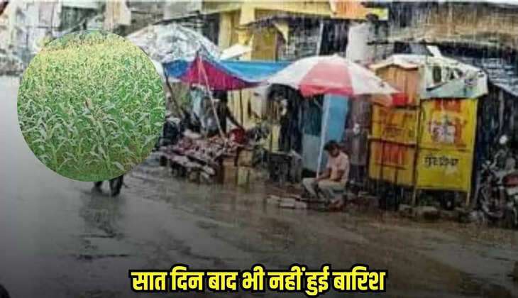 Jhabua news, MP news,