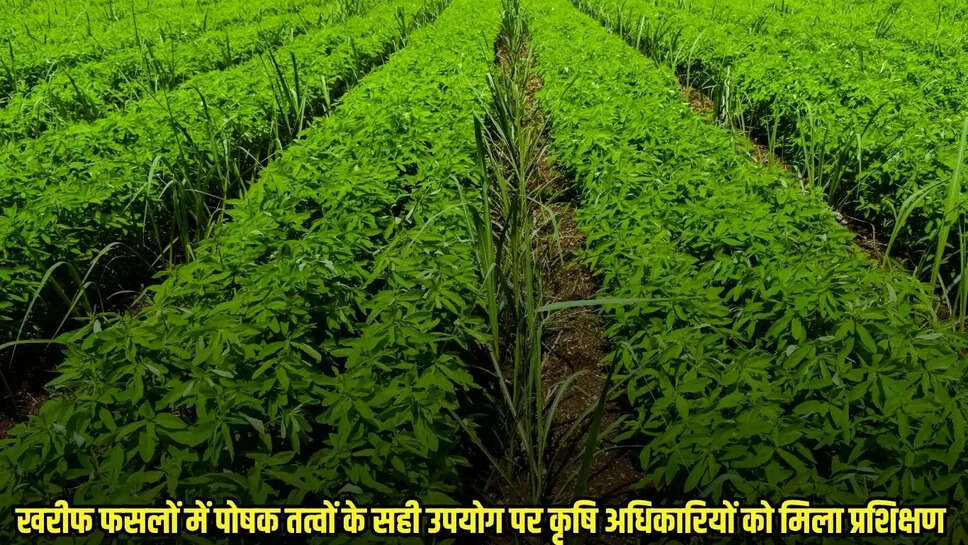 Jhabua News