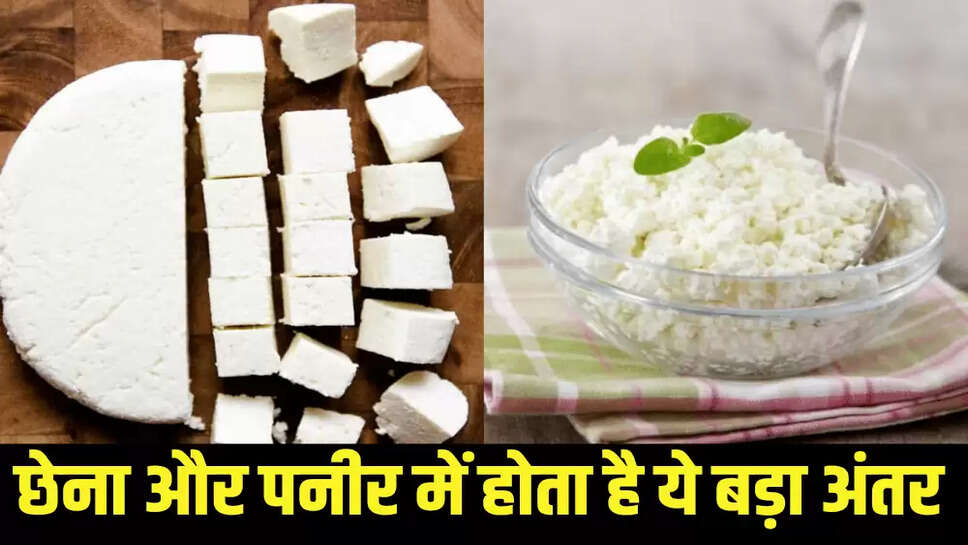 छेना और पनीर में होता है ये बड़ा अंतर