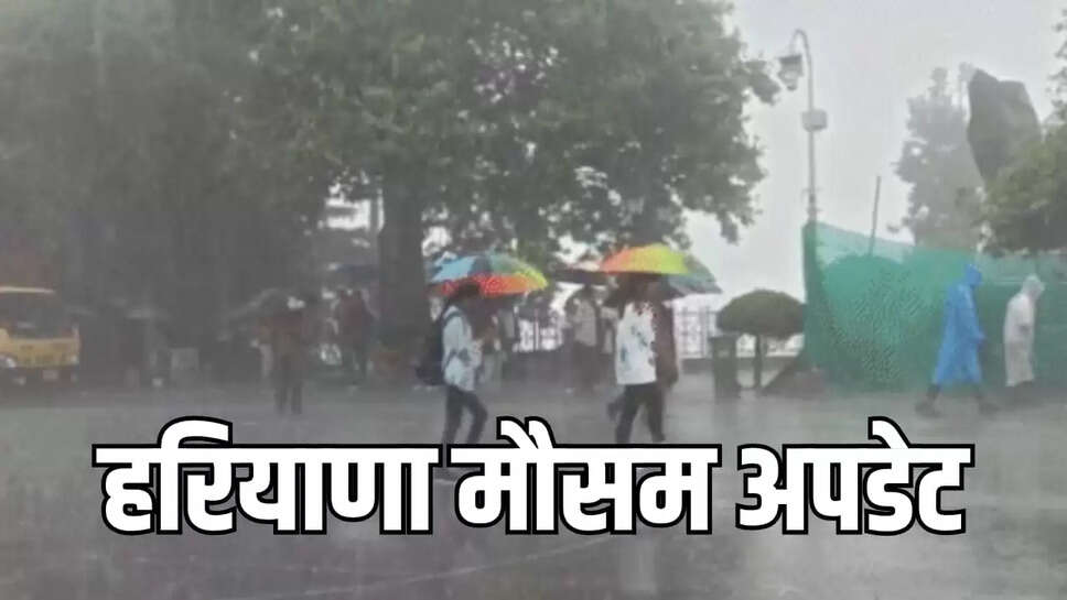 Haryana weather update
