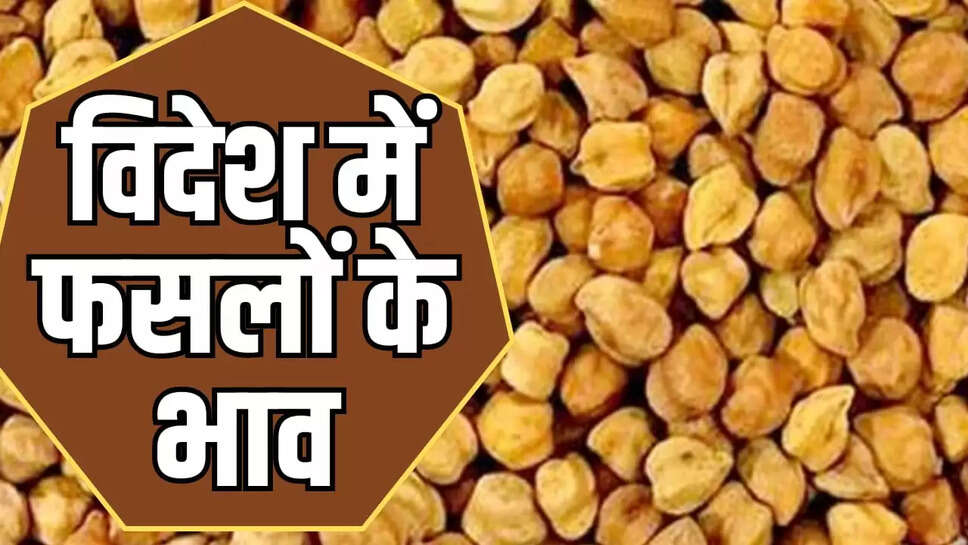चने के भाव