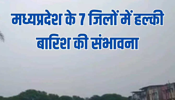 मध्यप्रदेश के 7 जिलों में हल्की बारिश की संभावना,